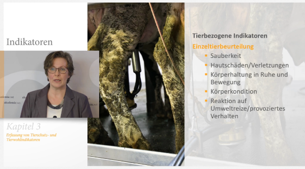 Odoo – Beispiel 1 für drei Spalten