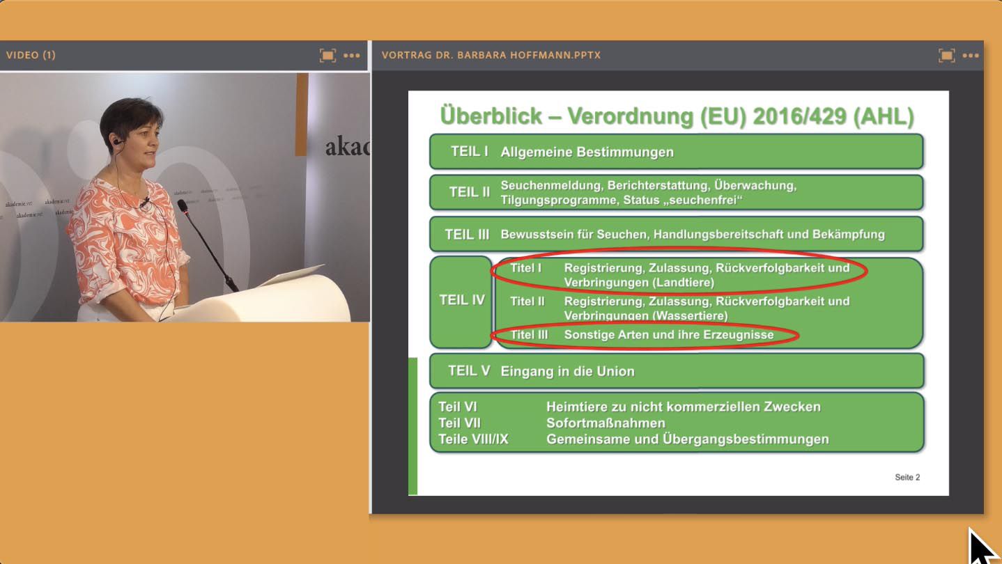 Odoo-Bild für Slider
