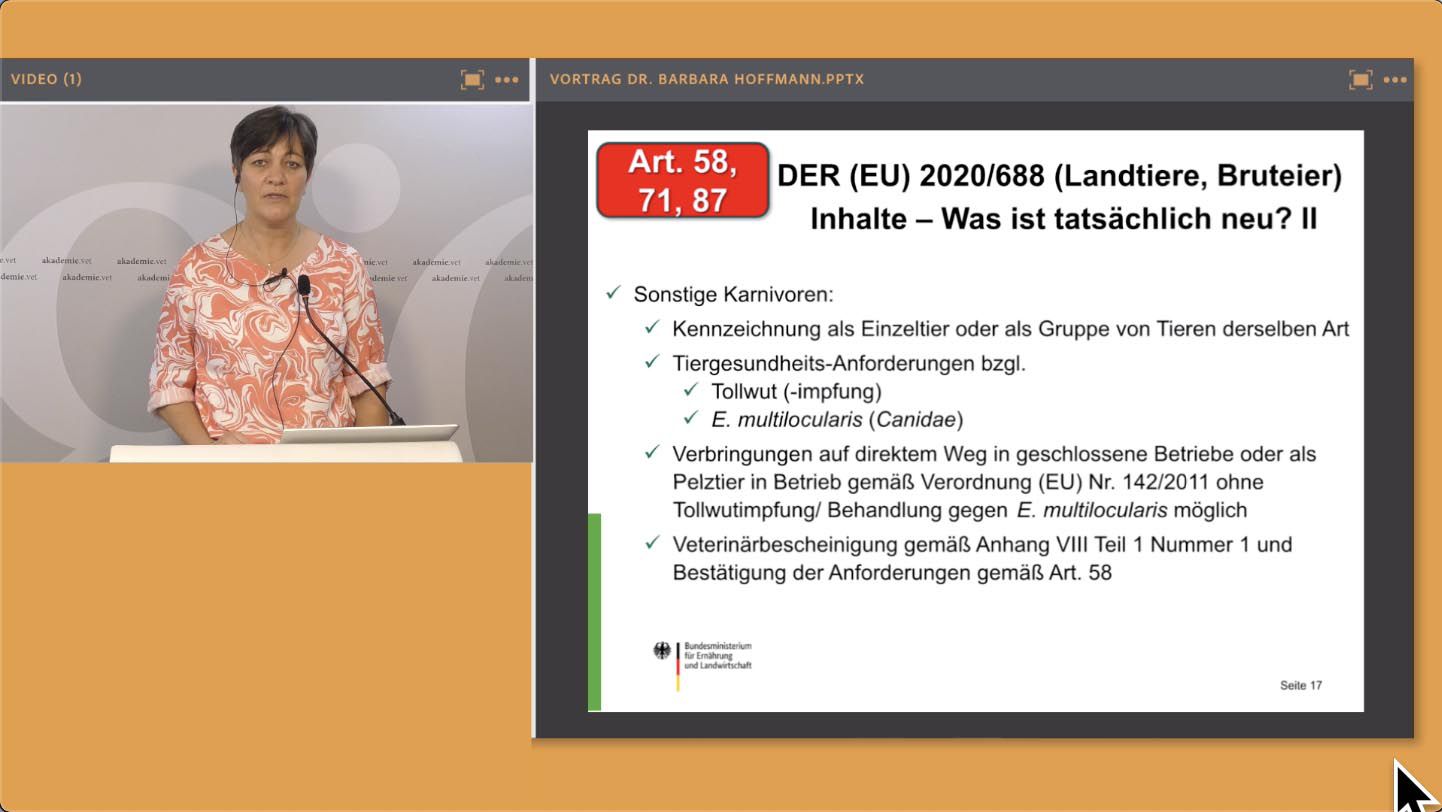 Odoo-Bild für Slider