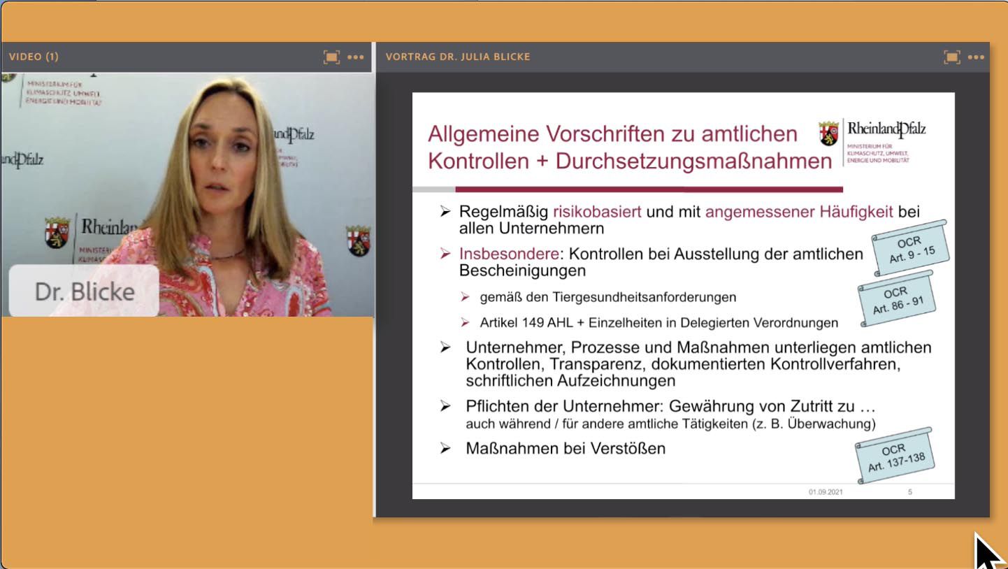 Odoo-Bild für Slider
