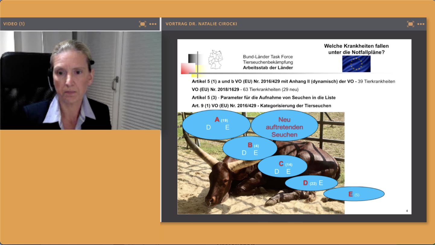 Odoo-Bild für Slider