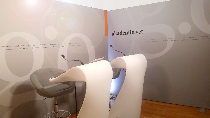 Bild Studio akademie.vet 2 Stühle beiger Hintergrund warmes Bild Dekobild