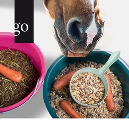 Dick oder fit? Faktencheck Pferdefütterung