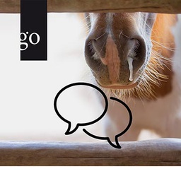 Frag die Expertinnen – EHV im Dialog